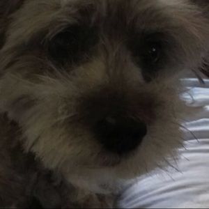 Meet your Posher, Kaitlyn